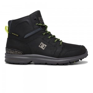 Botte DC Shoes Torstein Homme Noir Grise | LZNI-01795