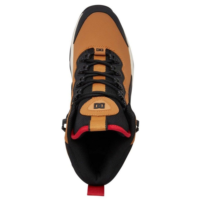 Botte DC Shoes Navigator Homme Marron Rouge | FHBC-06738