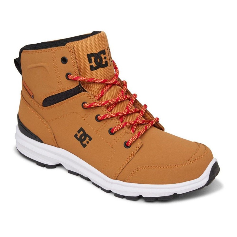 Botte DC Shoes Torstein Homme Marron Noir | LDFT-34807