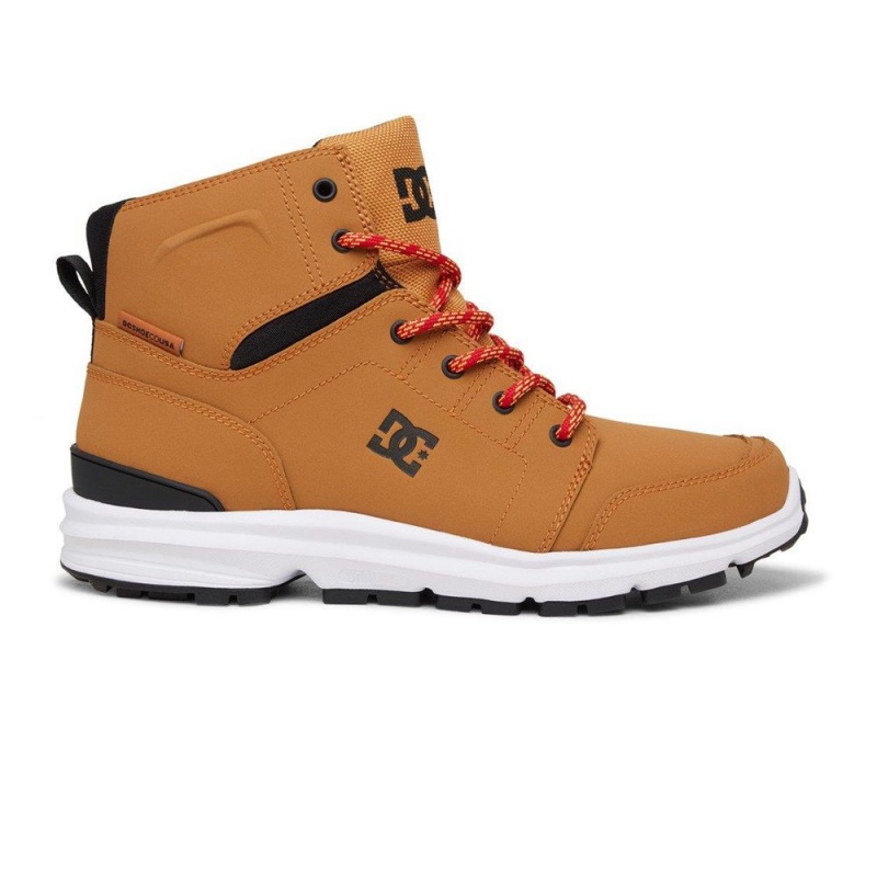 Botte DC Shoes Torstein Homme Marron Noir | LDFT-34807