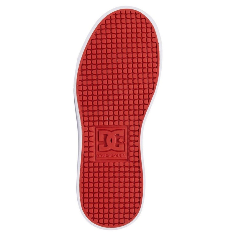 Chaussure Skate DC Shoes Anvil Enfant Grise Rouge | GRIO-19735