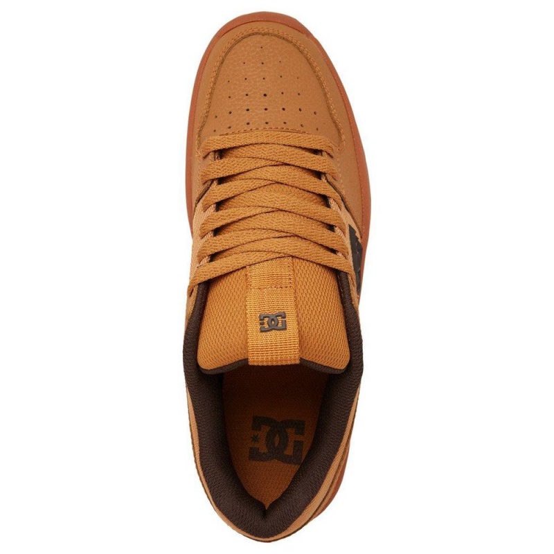 Chaussure Skate DC Shoes Lynx Homme Marron | DCXY-10867