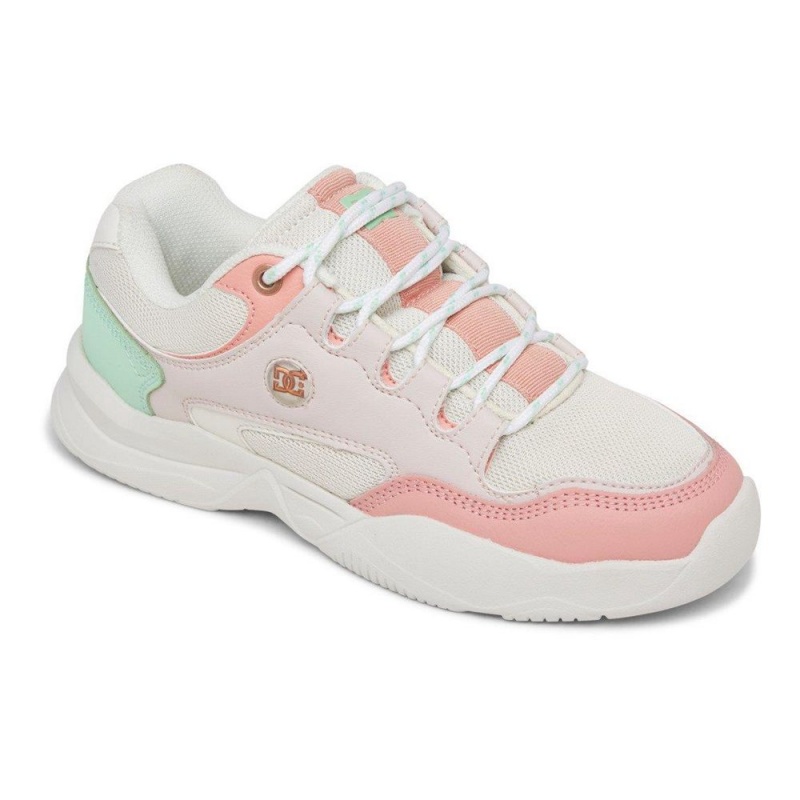 Chaussures de Sport DC Shoes Decel Femme Grise Rose | IDQV-25084