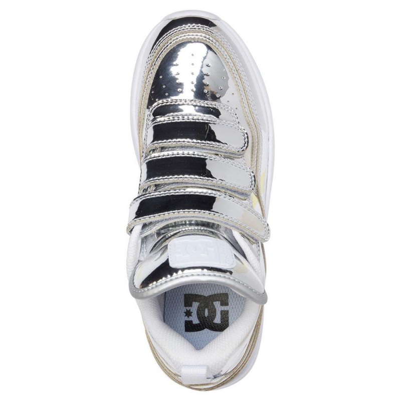 Chaussures de Sport DC Shoes E.Tribeka Femme Argent | LAXB-61285